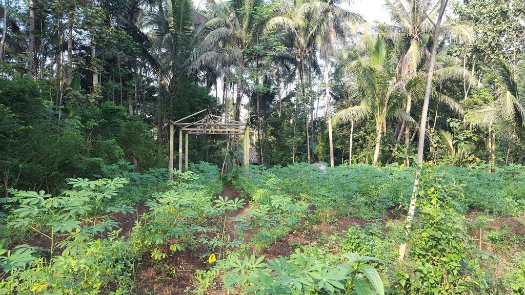 Jolan Jalan Homestay Borobudur Mungkid Exterior foto