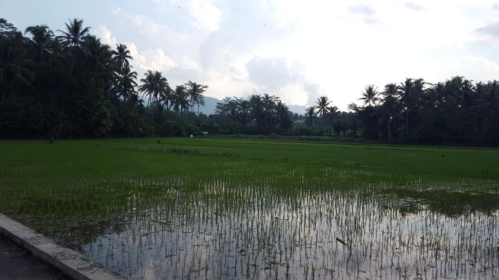 Jolan Jalan Homestay Borobudur Mungkid Exterior foto