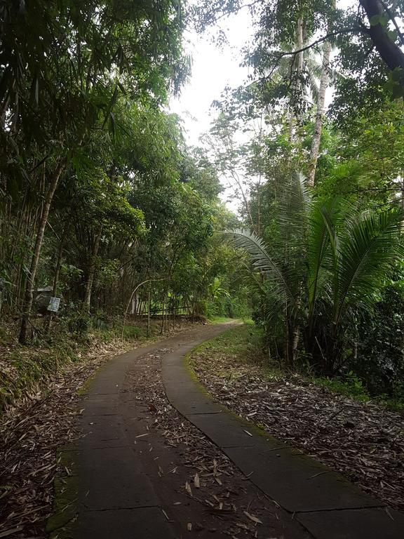 Jolan Jalan Homestay Borobudur Mungkid Exterior foto