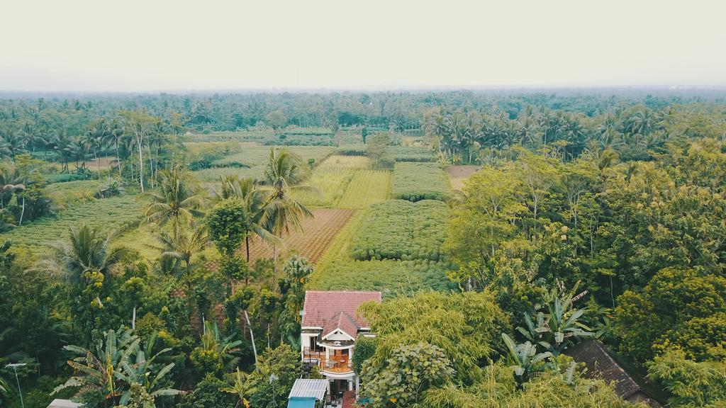 Jolan Jalan Homestay Borobudur Mungkid Exterior foto